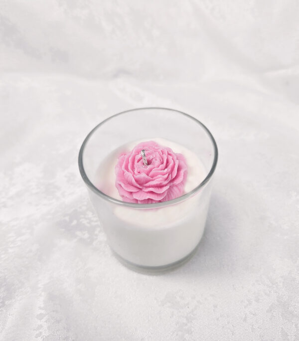 Mini Champagne Bloom